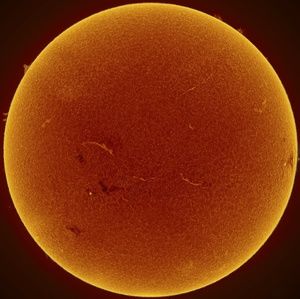 Meet your Posher, Langdon